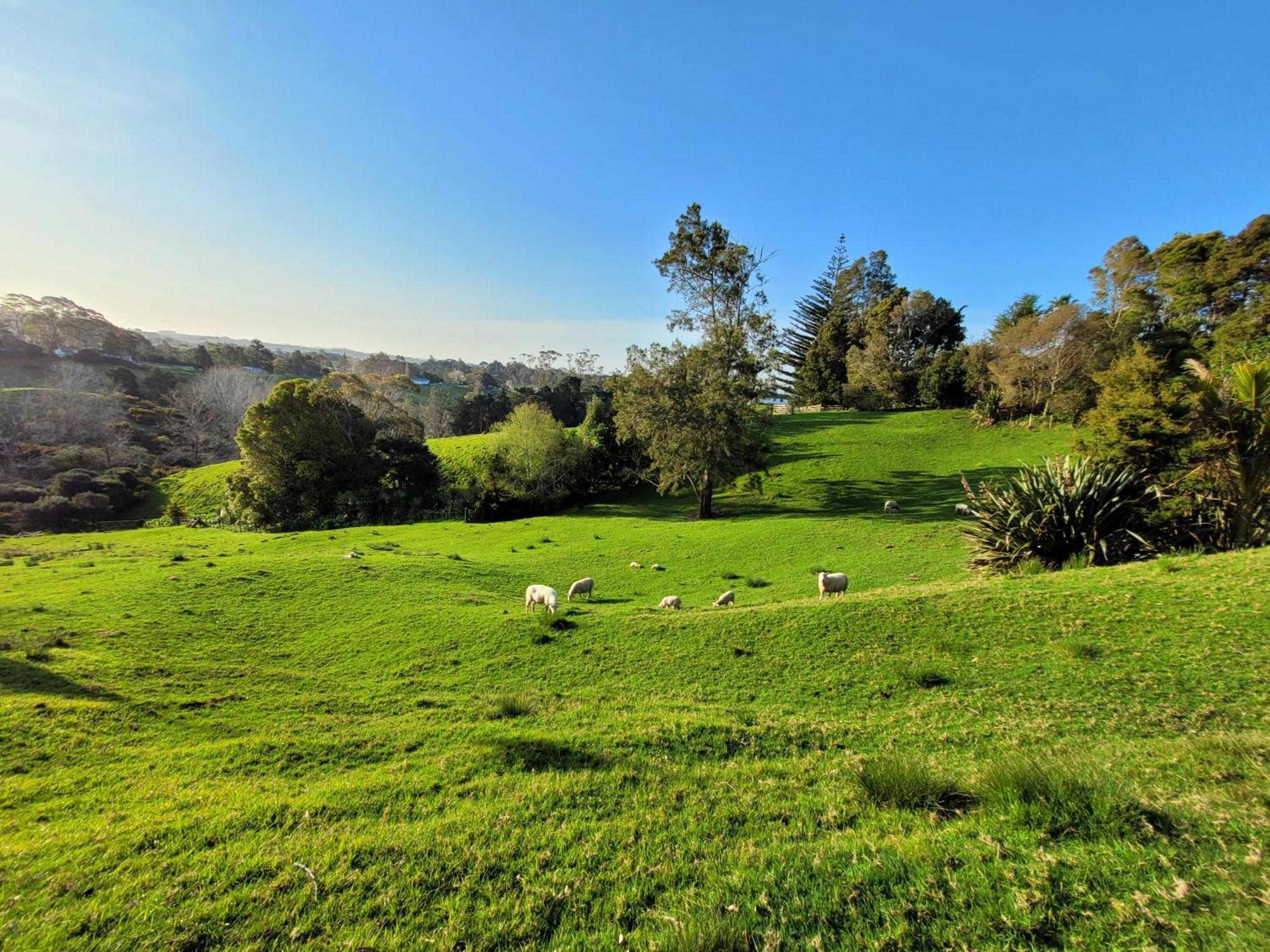 Sunshine Valley Apartment Auckland Bagian luar foto